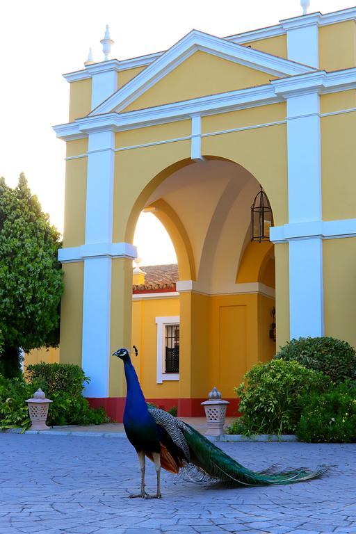 Hotel Hacienda Montenmedio Vejer de la Frontera Exterior photo